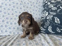 processed/7475bf2d-e19e-4f4d-9308-3042a24e2aed/listing/d0df1443-f317-45ce-8539-8a8efe08273e/27a76622-e77b-4eed-a6f3-4fe6ac3a9fc6