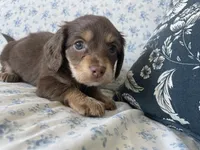 processed/7475bf2d-e19e-4f4d-9308-3042a24e2aed/listing/d0df1443-f317-45ce-8539-8a8efe08273e/455d48dc-15c4-4459-9296-408228521623