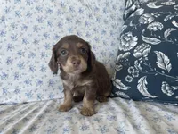 processed/7475bf2d-e19e-4f4d-9308-3042a24e2aed/listing/d0df1443-f317-45ce-8539-8a8efe08273e/8c0af8ce-20d6-40c9-b6ab-408152b9710e