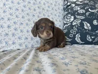 processed/7475bf2d-e19e-4f4d-9308-3042a24e2aed/listing/d0df1443-f317-45ce-8539-8a8efe08273e/a6b61a8d-1e23-4b64-8221-58b383d54e22