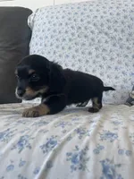 processed/7475bf2d-e19e-4f4d-9308-3042a24e2aed/listing/f5f4ceff-7562-4db2-9768-0bec81803d15/732ee958-15ad-4745-9d1a-f834c5c77a15