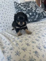 processed/7475bf2d-e19e-4f4d-9308-3042a24e2aed/listing/f5f4ceff-7562-4db2-9768-0bec81803d15/97633e1e-c6ad-4ef8-afcd-b25acfc5d650