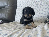 processed/7475bf2d-e19e-4f4d-9308-3042a24e2aed/listing/f5f4ceff-7562-4db2-9768-0bec81803d15/9a94c77d-abaf-404e-96df-ed5a45291bfb