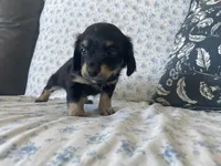 processed/7475bf2d-e19e-4f4d-9308-3042a24e2aed/listing/f5f4ceff-7562-4db2-9768-0bec81803d15/e540d177-6d16-4ff4-b952-41a331eba7c4