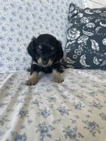 processed/7475bf2d-e19e-4f4d-9308-3042a24e2aed/listing/f5f4ceff-7562-4db2-9768-0bec81803d15/fc518862-b49b-438d-94f2-7e0aa0c310bc