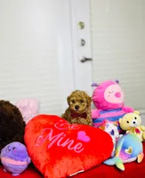 processed/747afadc-1fc4-4c4c-bf8b-09564c15a1c7/listing/8c43d2f1-20de-489c-b9e1-0a62171a2371/7edf2eee-0445-4d92-81cd-63a4c06e5197