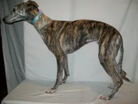 processed/7495ceb4-67df-4276-b889-f39171bf436b/listing/033dafe5-c027-4456-be68-d71aa5d5c6ca/70f4bb3c-cd4f-438d-9971-06aec3e2cb64