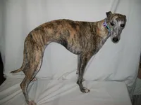 processed/7495ceb4-67df-4276-b889-f39171bf436b/listing/033dafe5-c027-4456-be68-d71aa5d5c6ca/89c15ea6-a597-47bd-bfe6-3a13b331fb20