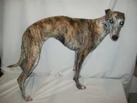 processed/7495ceb4-67df-4276-b889-f39171bf436b/listing/033dafe5-c027-4456-be68-d71aa5d5c6ca/ba5f2f72-b604-4b2b-975e-27da12d521e5