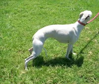 processed/7495ceb4-67df-4276-b889-f39171bf436b/listing/8a9cc7ce-b907-4d1e-a3d5-f70c70f918ce/0274a296-8cfc-4c56-8e20-9823d1fa8a19