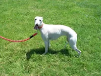 processed/7495ceb4-67df-4276-b889-f39171bf436b/listing/8a9cc7ce-b907-4d1e-a3d5-f70c70f918ce/0f8b66c1-dc0d-426f-b078-6fcd9b7448a3