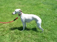 processed/7495ceb4-67df-4276-b889-f39171bf436b/listing/8a9cc7ce-b907-4d1e-a3d5-f70c70f918ce/348b55b1-1070-415d-89df-ff558524e08b