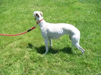 processed/7495ceb4-67df-4276-b889-f39171bf436b/listing/8a9cc7ce-b907-4d1e-a3d5-f70c70f918ce/ada1fe22-3000-4415-acaa-70a0e4dad517