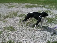 processed/7495ceb4-67df-4276-b889-f39171bf436b/listing/9095e62a-7016-425c-973c-ad1db2fb624f/400e5c60-0bce-4f16-a67f-864ff59e4cd9