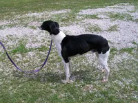 processed/7495ceb4-67df-4276-b889-f39171bf436b/listing/9095e62a-7016-425c-973c-ad1db2fb624f/4bb169e2-d68c-4ad2-9e2a-201a85639938