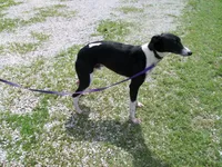 processed/7495ceb4-67df-4276-b889-f39171bf436b/listing/9095e62a-7016-425c-973c-ad1db2fb624f/4cc7c8b6-576e-4f14-8c4f-6a3004f2d4c4