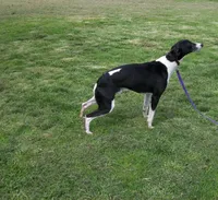 processed/7495ceb4-67df-4276-b889-f39171bf436b/listing/9095e62a-7016-425c-973c-ad1db2fb624f/5727ce84-0feb-4fb4-8bec-6995cb0c10e8