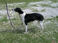 processed/7495ceb4-67df-4276-b889-f39171bf436b/listing/9095e62a-7016-425c-973c-ad1db2fb624f/b2c42044-9043-4f30-83ef-0af6749f7cb4