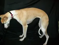 processed/7495ceb4-67df-4276-b889-f39171bf436b/listing/b907b562-e98d-4f36-803e-ceaeb79c5af8/2cb30fd6-3304-4cc1-8148-5383bb10c9df