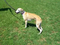 processed/7495ceb4-67df-4276-b889-f39171bf436b/listing/b907b562-e98d-4f36-803e-ceaeb79c5af8/3cf3d5f0-edb5-4758-a0f1-2bb0f63542f8