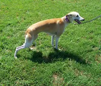 processed/7495ceb4-67df-4276-b889-f39171bf436b/listing/b907b562-e98d-4f36-803e-ceaeb79c5af8/7c2ef3a9-a7f7-4d64-ac9f-46c13a292ef5