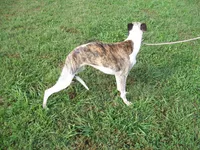 processed/7495ceb4-67df-4276-b889-f39171bf436b/listing/ba12f58b-218b-4e81-8228-babe1a893933/330dcfc4-c77e-4494-a86e-5d5aa2d89b21