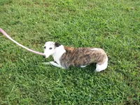 processed/7495ceb4-67df-4276-b889-f39171bf436b/listing/ba12f58b-218b-4e81-8228-babe1a893933/c77f4b1d-0e4c-4492-ad6f-05740c07ed68