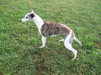 processed/7495ceb4-67df-4276-b889-f39171bf436b/listing/ba12f58b-218b-4e81-8228-babe1a893933/ced66a9b-fac1-47c6-9107-aeda73848008