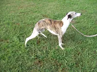 processed/7495ceb4-67df-4276-b889-f39171bf436b/listing/ba12f58b-218b-4e81-8228-babe1a893933/d02a66c0-7b4e-48db-b052-d42e5b708be6