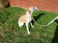 processed/7495ceb4-67df-4276-b889-f39171bf436b/listing/c5435a43-6613-4e5e-a56b-8be8ae6b16df/20237fc8-17c4-461a-92e7-3b77801c2e99