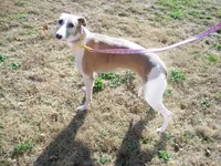 processed/7495ceb4-67df-4276-b889-f39171bf436b/listing/c5435a43-6613-4e5e-a56b-8be8ae6b16df/42dd99ce-8ecd-4007-bc17-a283649da853