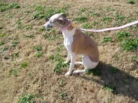 processed/7495ceb4-67df-4276-b889-f39171bf436b/listing/c5435a43-6613-4e5e-a56b-8be8ae6b16df/656fc310-08a2-4c03-9512-92832d0789f3