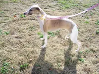 processed/7495ceb4-67df-4276-b889-f39171bf436b/listing/c5435a43-6613-4e5e-a56b-8be8ae6b16df/f23b2da6-ff64-4249-a233-25283a573577