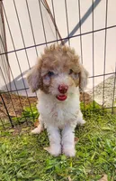 processed/749ea295-f54b-4278-a192-8b31ec1a934d/listing/57dddcc0-12c0-4553-b654-4bf957681db7/b8b79cec-046a-4746-a3c6-52d47951f666