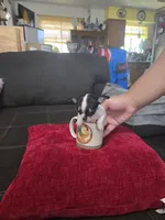 processed/74ab5706-d620-4454-864c-b420b1d16059/facility/288f401b-f2c5-4225-a532-740f8583a260