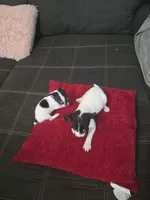 processed/74ab5706-d620-4454-864c-b420b1d16059/facility/380dea27-4cb5-4ec2-a945-b4408f8eef68