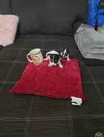 processed/74ab5706-d620-4454-864c-b420b1d16059/facility/404b0570-7226-4791-adbb-bf3f69a0c1e1