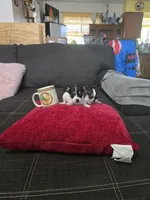 processed/74ab5706-d620-4454-864c-b420b1d16059/facility/7be25d67-5f2c-415d-b4c7-39379f55563b