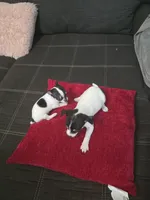 processed/74ab5706-d620-4454-864c-b420b1d16059/facility/9e49c36b-923d-4731-a37f-9d24e2c8c81b