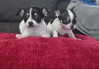 processed/74ab5706-d620-4454-864c-b420b1d16059/facility/aa0f8b1a-9276-4205-9ab0-32d047f02319