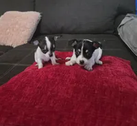 processed/74ab5706-d620-4454-864c-b420b1d16059/facility/e8d8b591-15ab-487c-8750-a64ac261d1ae