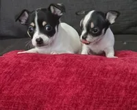 processed/74ab5706-d620-4454-864c-b420b1d16059/facility/f195fc7f-8590-430d-9bcc-a8d172fa44c0