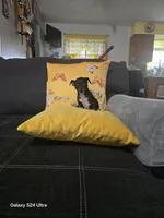 Chihuahua 3, a female Chihuahua for sale in Bradenton, FL – 2 of 6