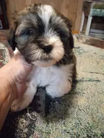 processed/74b68a0f-5313-4c2b-b452-2489a22a76e8/listing/7311f776-d3fb-4734-b594-ef0be027eda8/a3ca1106-aaaa-4508-a8e6-0d084e4472c4