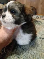 processed/74b68a0f-5313-4c2b-b452-2489a22a76e8/listing/7311f776-d3fb-4734-b594-ef0be027eda8/a63e7c4f-2901-473a-9e3d-a4b40c5842b0