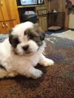 processed/74b68a0f-5313-4c2b-b452-2489a22a76e8/listing/7311f776-d3fb-4734-b594-ef0be027eda8/b811b5a7-e234-46f4-9638-b2bed1fa80a4