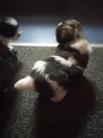 processed/74b68a0f-5313-4c2b-b452-2489a22a76e8/listing/7311f776-d3fb-4734-b594-ef0be027eda8/be4c5deb-2c5a-440e-baaa-845d6ae7e270