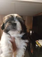 processed/74b68a0f-5313-4c2b-b452-2489a22a76e8/listing/7311f776-d3fb-4734-b594-ef0be027eda8/c0ce7536-79fb-43ca-88f0-7ad2762c682a