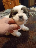 processed/74b68a0f-5313-4c2b-b452-2489a22a76e8/listing/7311f776-d3fb-4734-b594-ef0be027eda8/fe4d3553-b65a-4ce8-8bc1-5b204b833e61