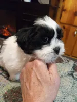 processed/74b68a0f-5313-4c2b-b452-2489a22a76e8/listing/7c7dbcea-b48a-45da-b6fc-01fe91b5646a/7b76d745-4f1a-441c-b7d8-0bb5b58d9beb